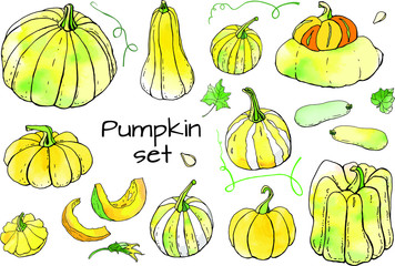 Collection of yellow green autumn pumpkin doodles. Fall harvest. Vector stock set. Cute icons with watercolor texture. Can be used for printed materials. Food background. Hand drawn.
