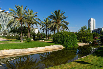 Fototapeta na wymiar The Turia Garden is a public park at the City of Arts and Sciences on the old riverbed of the river Turia in Valencia City Centre.