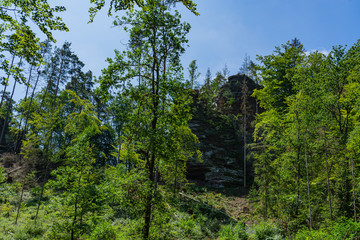Rock landscape in Dahn Rockland