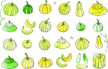 Collection of yellow green autumn pumpkin doodles. Fall harvest. Vector stock set. Cute icons with watercolor texture. Can be used for printed materials. Food background. Hand drawn.