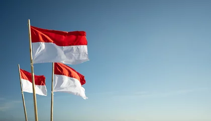 Foto op Plexiglas indonesia flags under blue sky independence day concept © Odua Images