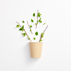 Creative Organic Herbal Eco Drink Concept with Green Leaves