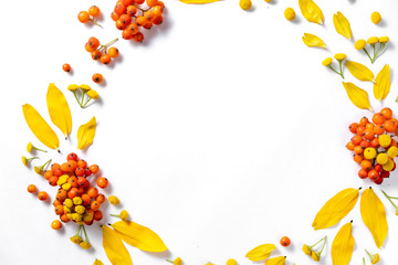 Autumn composition. Pattern made of leaves and rowan on white background. Autumn, fall, thanksgiving day concept. Flat lay, top view, copy space.