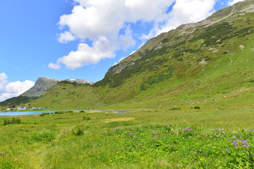 Fototapeta na wymiar Zeinisbach am Zeinisjoch zwischen Vorarlberg und Tirol