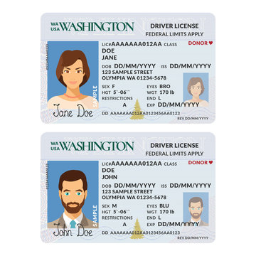 Vector template of sample driver license plastic card for USA Washington