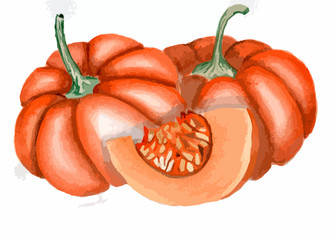 Drawing pumpkin, orange pumpkin, vegetables art