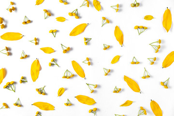 Autumn composition. Pattern made of leaves and flower on white background. Autumn, fall, thanksgiving day concept. Flat lay, top view, copy space.