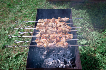 The process of cooking raw meat on skewers and on corner, metal grill. Juicy and fragrant meat. Blurred green background of grass