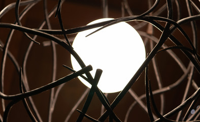 a light encircled by branches