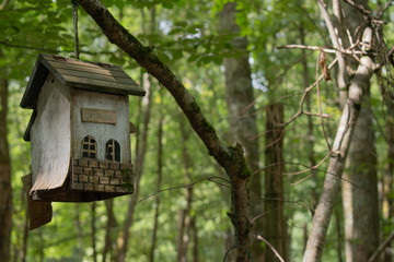 small birdhouse in a tree