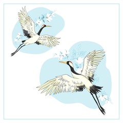 Set of birds. Crane, stork, heron. Vector.