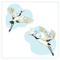 Set of birds. Crane, stork, heron. Vector.