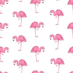 Vector seamless pattern with flamingos