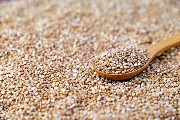 Wooden spoon full of quinoa on quinoa background. Selective focus.