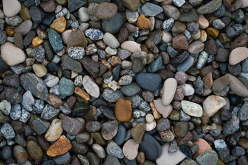 Background texture of wet pebble stones
