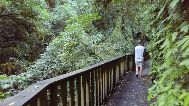 Walking up to Mangapohue Natural Bridge