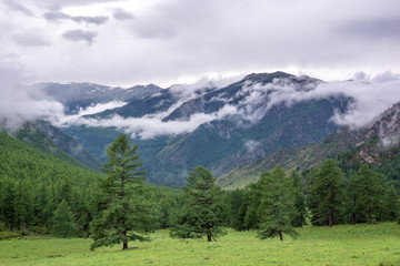 Fototapeta na wymiar The view of Mountain Altay
