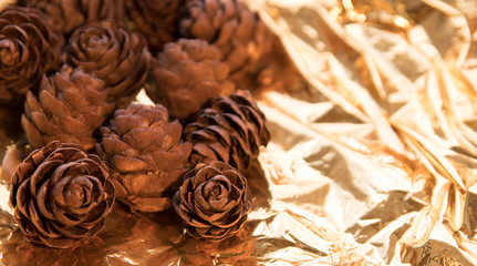 pine cone on a gold background. postcard for autumn and new year