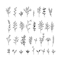 Hand drawn floral illustrations collection on white background