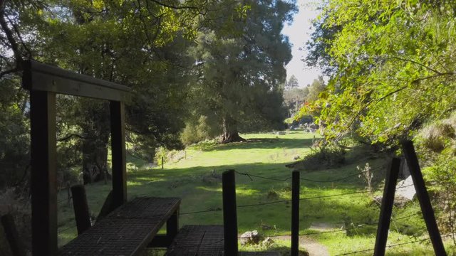 Walking up to Mangapohue Natural Bridge