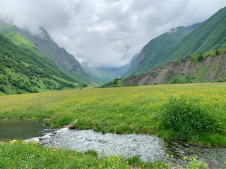 Fototapeta na wymiar Russia, North Ossetia. Midagrabindon river in summer