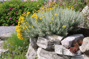 Steingarten, Teil einer Kräuter-Spirale, Kräutergarten