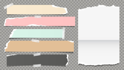 White colorful ripped, torn note, notebook paper strips, stuck with sticky tape on dark grey background. Vector illustration