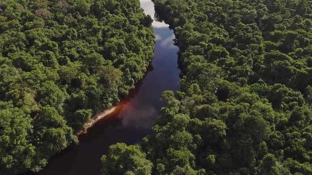 Beautiful blue sky reflecting in the Amazonia Basin river
