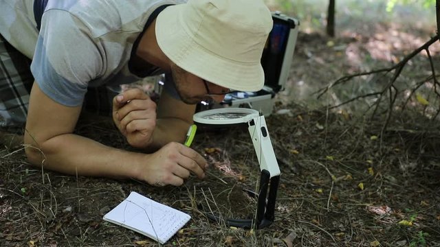 Caucasian entomologist studying a small anthill in the forest cheryl magnifying glass and take notes in his notebook, close-up