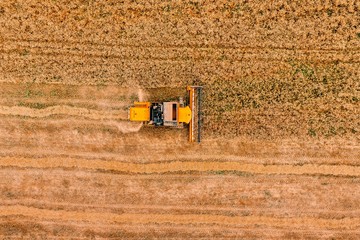 Aerial view of the combine harvester agriculture machine working on ripe wheat field.