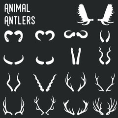 Simple vector set of different animal antlers .