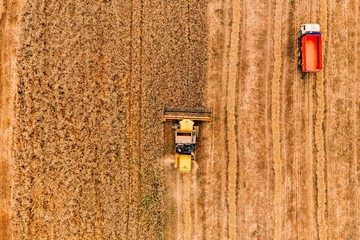 Aerial view of the combine harvester agriculture machine working on ripe wheat field.