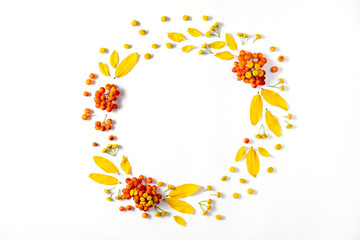 Autumn composition. Wreath made of leaves and rowan on white background. Autumn, fall, halloween, thanksgiving day concept. Flat lay, top view, copy space