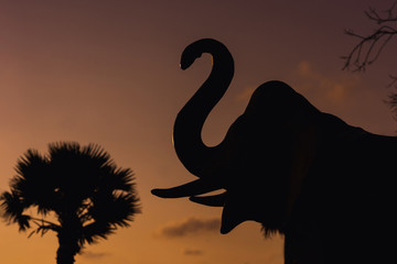 silhouette of an elephant in the sunset sky