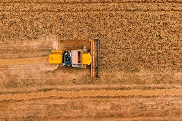 Fototapeta na wymiar Aerial view of the combine harvester agriculture machine working on ripe wheat field.