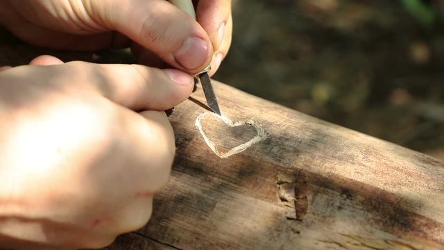 A man in love cuts a heart with an incisor on the surface of an old log, close-up