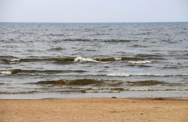 Wooden snag on stone seashore on a summer day