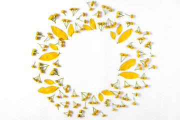 Naklejka na ściany i meble Autumn creative composition. Wreath made of leaves, flowers on white background. Autumn, fall, halloween, thanksgiving day concept. Flat lay, top view, copy space