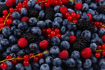 Blackberry, raspberry, blueberry,  red currant and mint background.