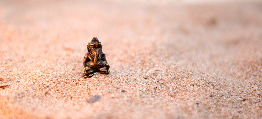 Indian God Ganesha Ganapati Vinayagar