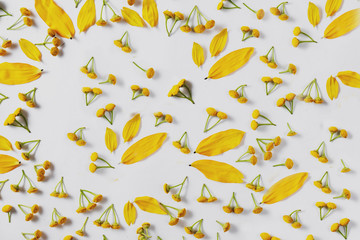 Obraz premium Autumn composition. Pattern made of leaves and flower on white background. Autumn, fall, thanksgiving day concept. Flat lay, top view, copy space.