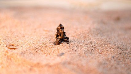 Indian God Ganesha Ganapati Vinayagar