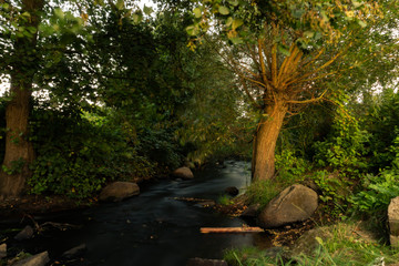 soft water, river in a forest