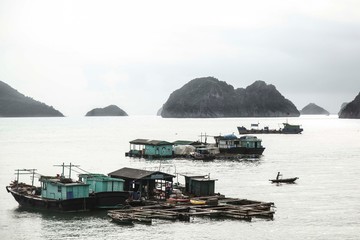Village Flottant au Vietnam