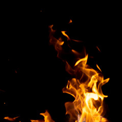 Fototapeta premium strong fire flames on black isolated background