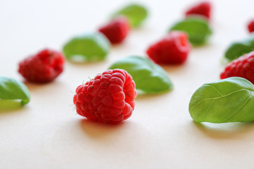 Close up of fresh, pink raspberries with green basil leaves forming a natural pattern