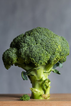 Broccoli on gray background