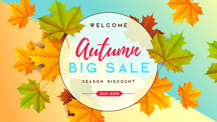 Autumn big sale typography poster with autumn leaves. Nature concept