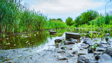 Drewniane pale w jeziorze © Dreamnordno