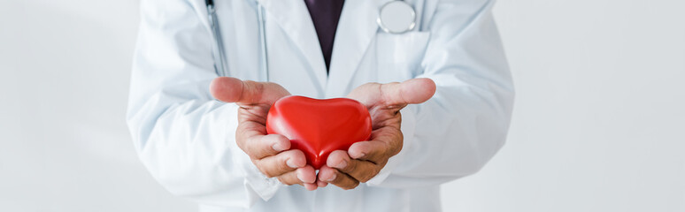 panoramic shot of doctor holding red heart model in hands on white